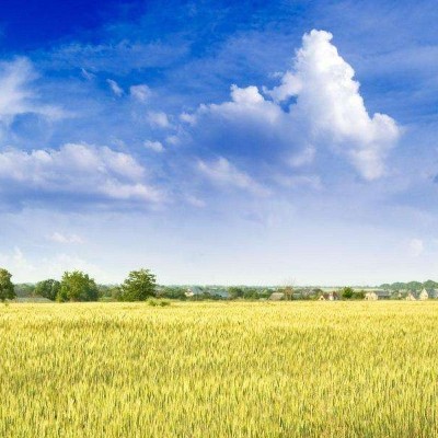 乌克兰农业联盟与乌克兰中国商会签署合作备忘录