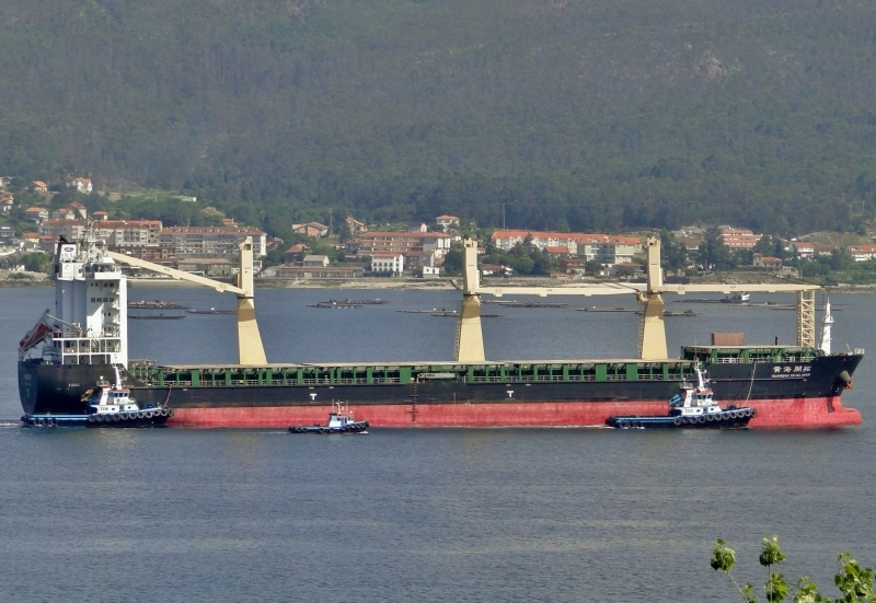 中国到俄罗斯海运集装箱服务